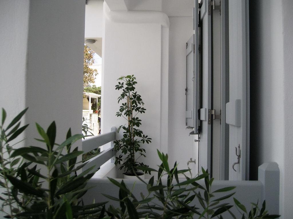 Aelia Apartments Naxos City Exteriér fotografie